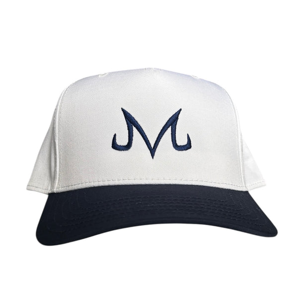 BRAINWASHED - SNAPBACK